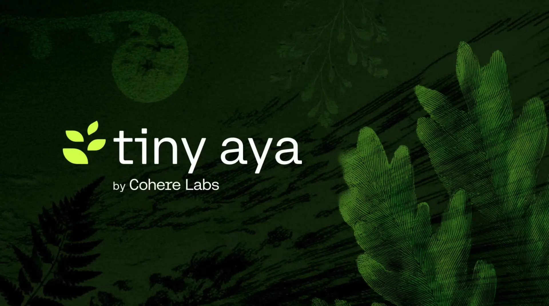 tiny aya1.jpg