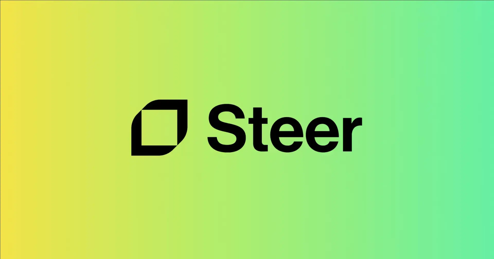 steer1.jpg