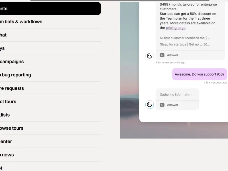 gleap4.jpg