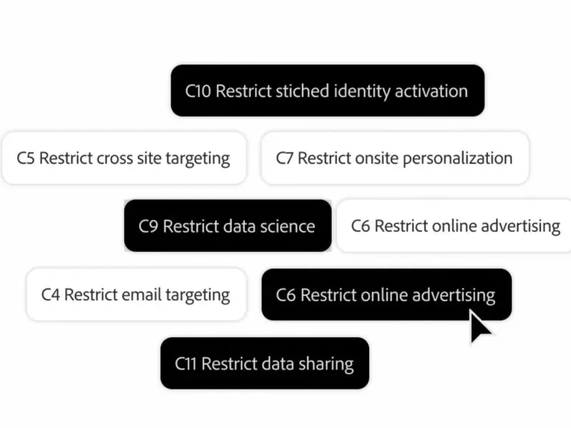 adobe customer analytics6.jpg
